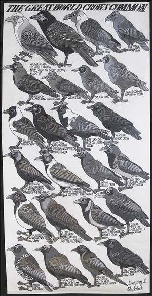 Black and white sketches of many different kinds of crows with the name of each crow written beneath it